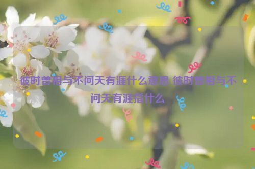 彼时曾相与不问天有涯什么意思 彼时曾相与不问天有涯指什么