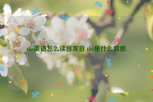 the英语怎么读音发音 the是什么意思