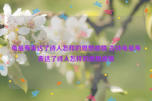 龟虽寿表达了诗人怎样的思想感情 古诗龟虽寿表达了诗人怎样的思想感情