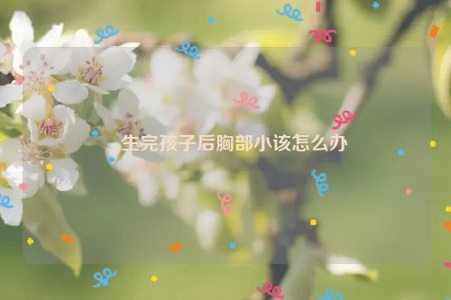 ​生完孩子后胸部小该怎么办