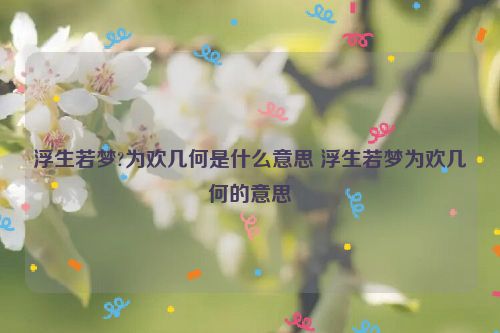 浮生若梦?为欢几何是什么意思 浮生若梦为欢几何的意思