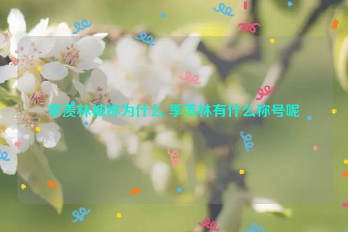 季羡林被称为什么 季羡林有什么称号呢