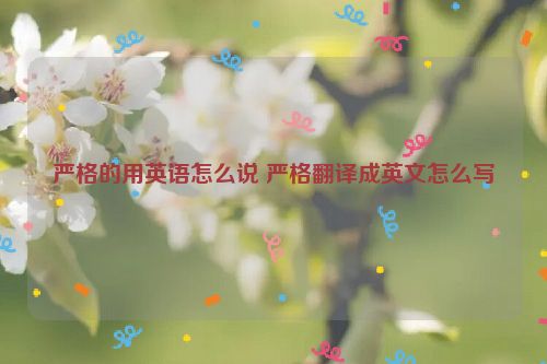 严格的用英语怎么说 严格翻译成英文怎么写