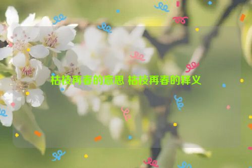 枯枝再春的意思 枯枝再春的释义