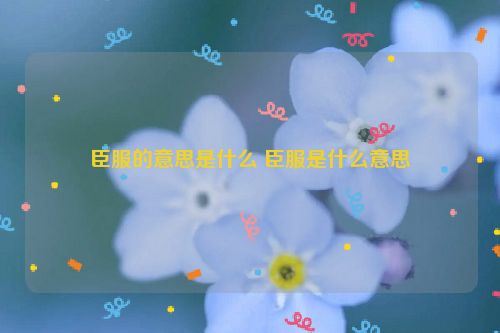 臣服的意思是什么 臣服是什么意思