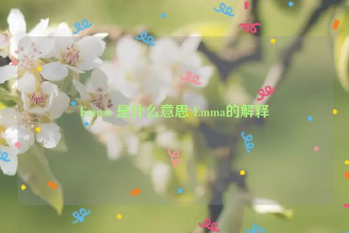 Emma 是什么意思 Emma的解释