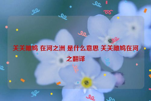 关关雎鸠 在河之洲 是什么意思 关关雎鸠在河之翻译