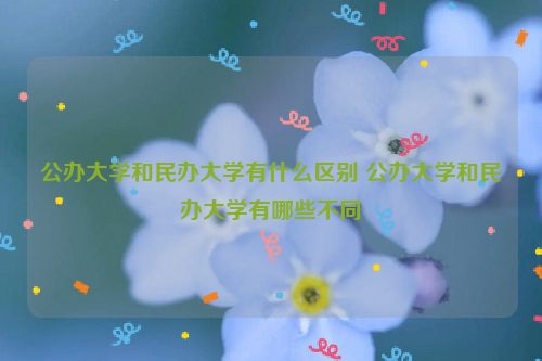 公办大学和民办大学有什么区别 公办大学和民办大学有哪些不同