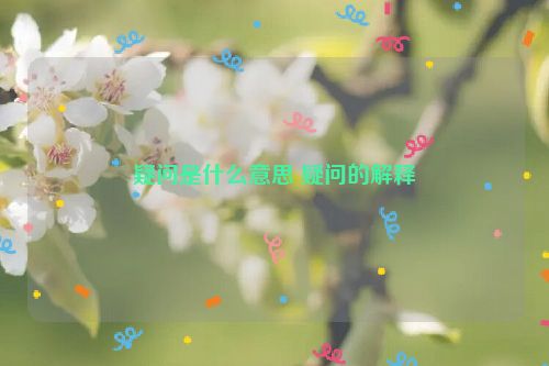 疑问是什么意思 疑问的解释