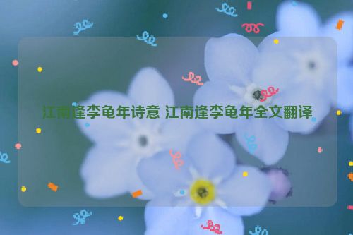 江南逢李龟年诗意 江南逢李龟年全文翻译