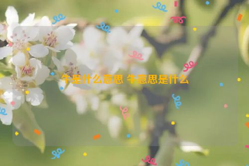 牛是什么意思 牛意思是什么