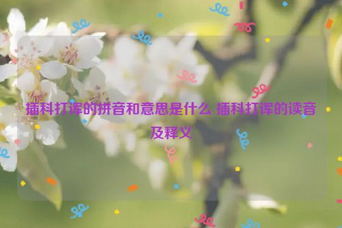 插科打诨的拼音和意思是什么 插科打诨的读音及释义