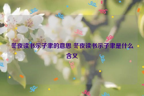 冬夜读书示子聿的意思 冬夜读书示子聿是什么含义