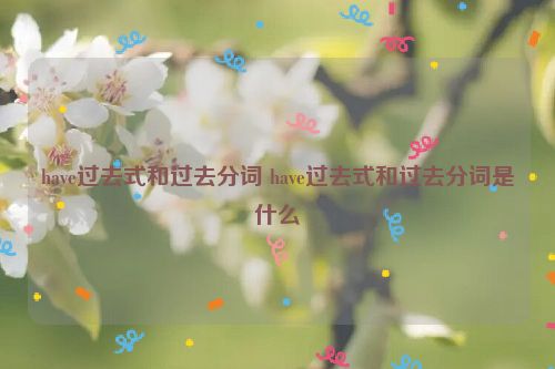 have过去式和过去分词 have过去式和过去分词是什么