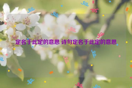 定名于此定的意思 诗句定名于此定的意思