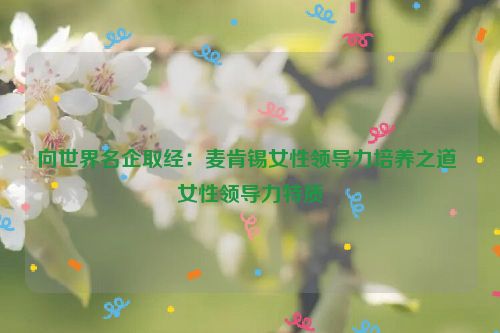 向世界名企取经：麦肯锡女性领导力培养之道 女性领导力特质