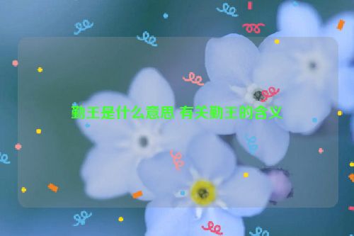 勤王是什么意思 有关勤王的含义