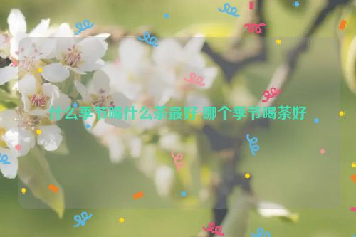 什么季节喝什么茶最好 哪个季节喝茶好