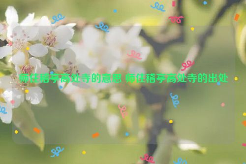 师住稽亭高处寺的意思 师住稽亭高处寺的出处