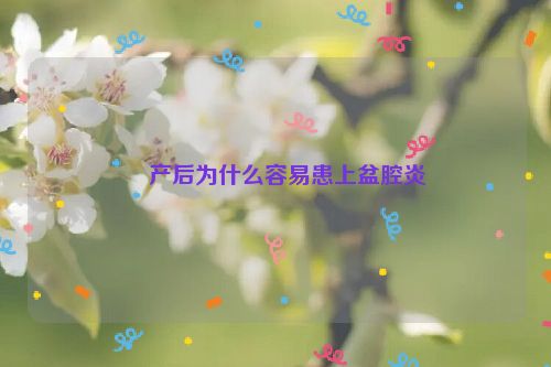 ​产后为什么容易患上盆腔炎