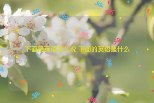 下面用英语怎么说 下面的英语是什么