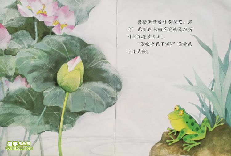 小青蛙与荷花（学会等待）