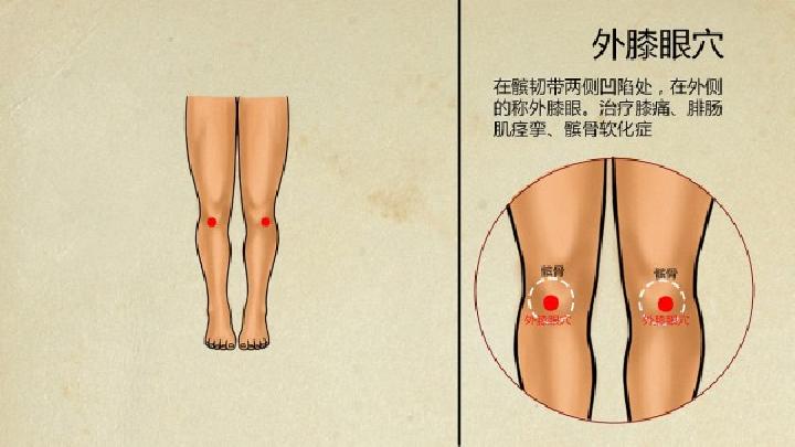 中医药茶减肥的方法有哪些？中医药茶减肥